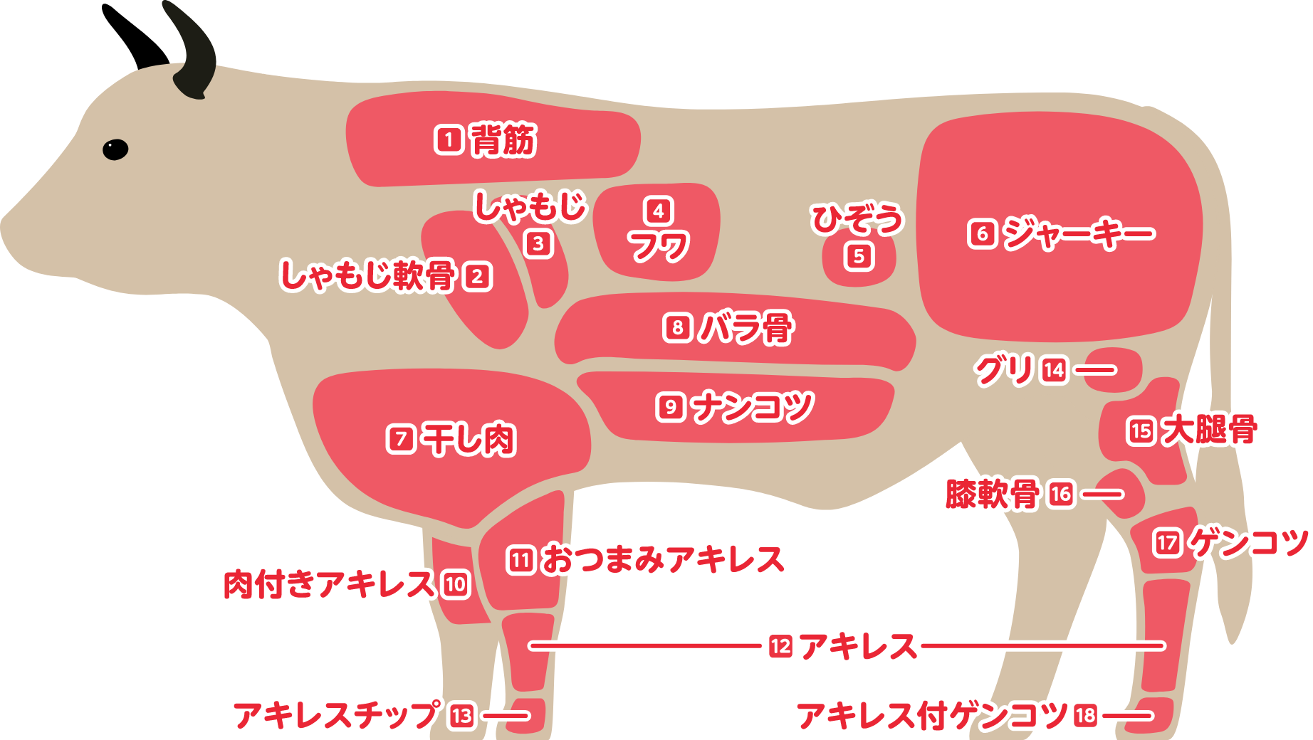 牛の部位