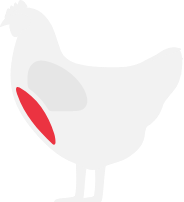 ささみ