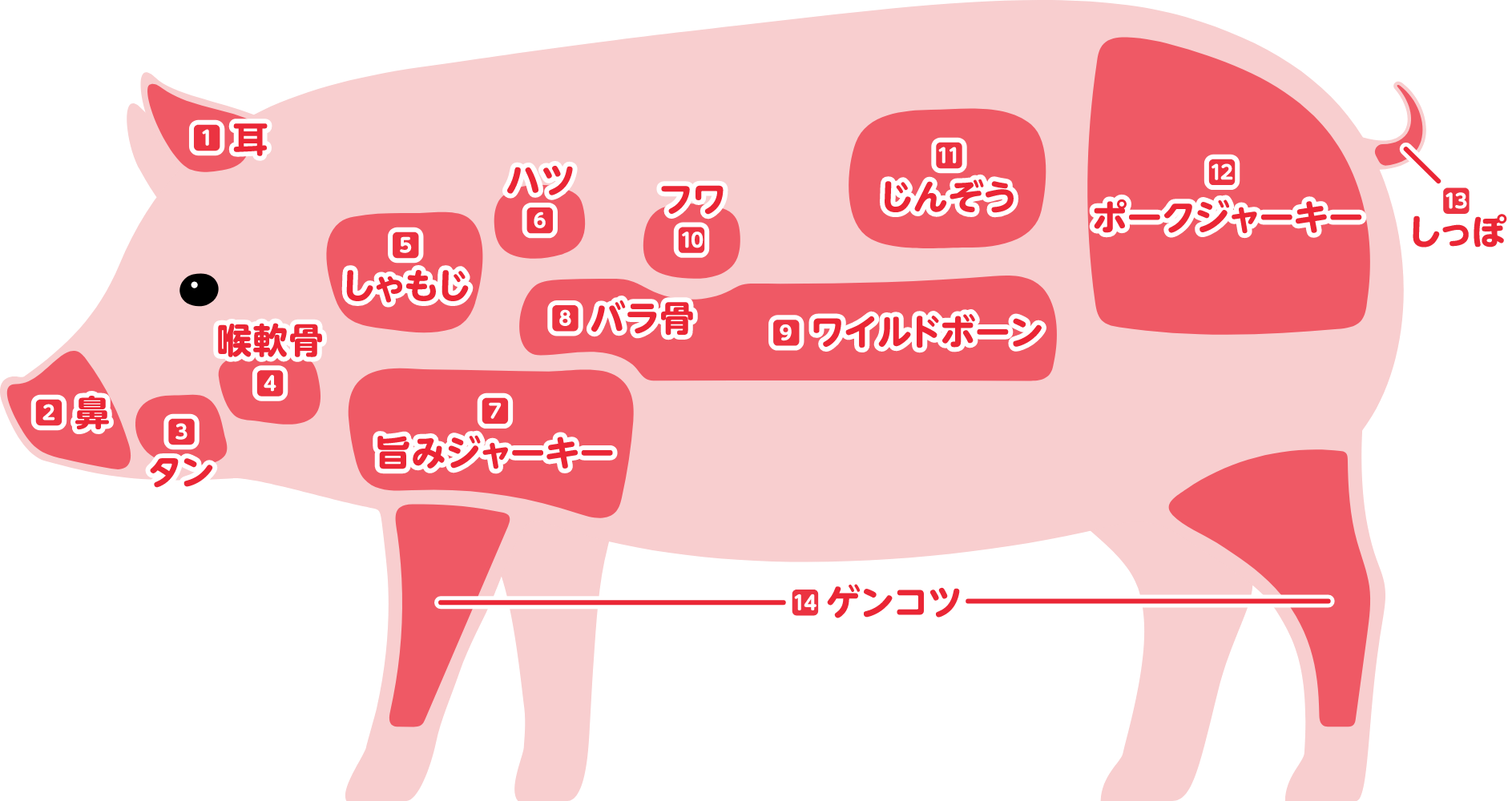 豚の部位