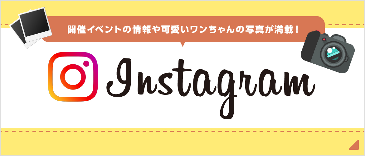TOP_instagram